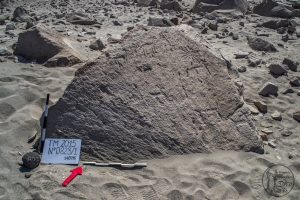 Piedra: 823, Cara decorada: I