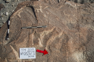 Piedra: 826, Cara decorada: VI
