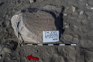 Piedra: 827, Cara decorada: I