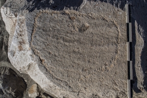 Piedra: 827, Cara decorada: I