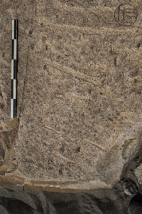 Piedra: 828, Cara decorada: II