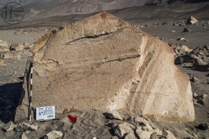 Piedra: 833, Cara decorada: I