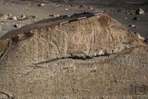 Piedra: 833, Cara decorada: I