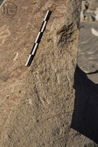 Piedra: 834, Cara decorada: I