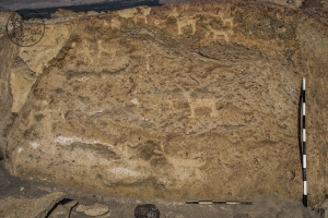 Piedra: 836, Cara decorada: I