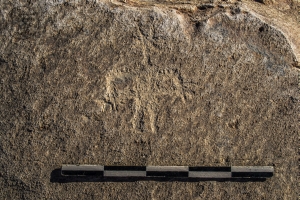 Piedra: 840, Cara decorada: II