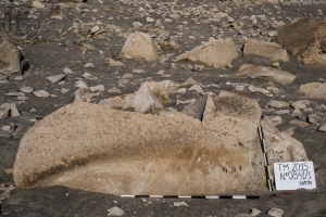 Piedra: 841, Cara decorada: I
