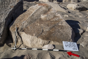 Piedra: 843, Cara decorada: I