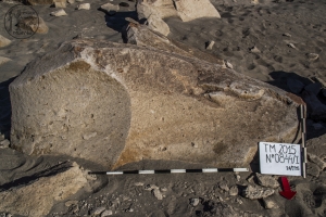 Piedra: 844, Cara decorada: II