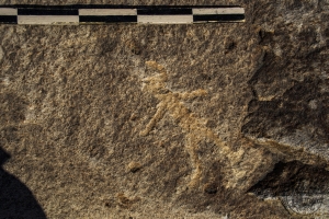 Piedra: 844, Cara decorada: II