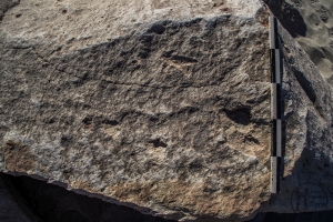 Piedra: 844, Cara decorada: I