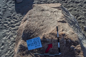 Piedra: 849, Cara decorada: II
