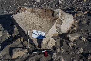 Piedra: 851, Cara decorada: I