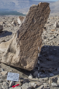 Piedra: 853, Cara decorada: I