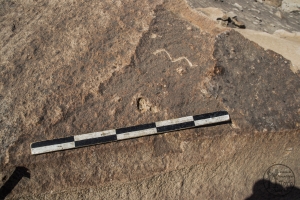 Piedra: 856, Cara decorada: II