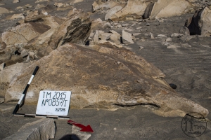 Piedra: 857, Cara decorada: I