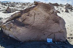 Piedra: 860, Cara decorada: I