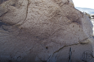 Piedra: 860, Cara decorada: I