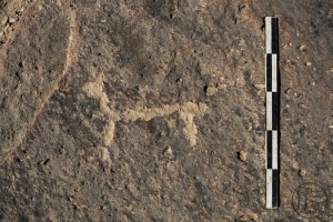 Piedra: 863, Cara decorada: I