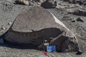 Piedra: 865, Cara decorada: I