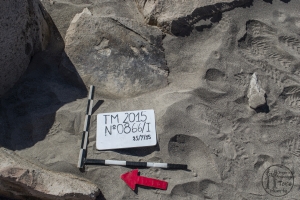 Piedra: 866, Cara decorada: I