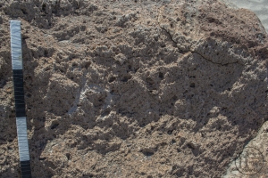 Piedra: 869, Cara decorada: I