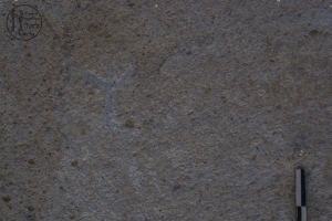 Piedra: 873, Cara decorada: I