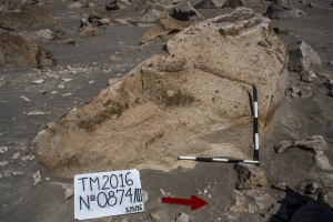 Piedra: 874, Cara decorada: III