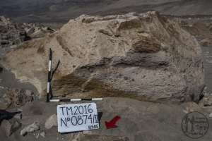 Piedra: 874, Cara decorada: II