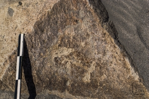 Piedra: 878, Cara decorada: I