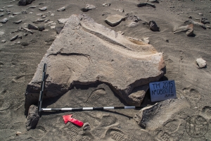 Piedra: 880, Cara decorada: I