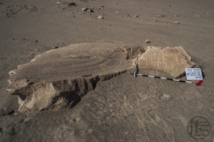 Piedra: 881, Cara decorada: III