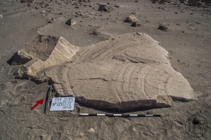 Piedra: 881, Cara decorada: I