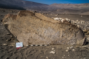 Piedra: 882, Cara decorada: I