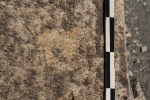 Piedra: 885, Cara decorada: I
