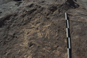 Piedra: 887, Cara decorada: I