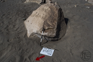 Piedra: 889, Cara decorada: I