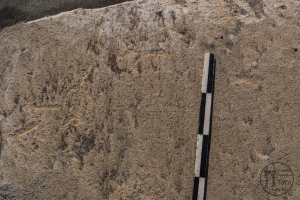 Piedra: 890, Cara decorada: I