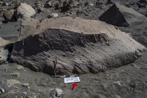 Piedra: 892, Cara decorada: I