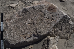 Piedra: 894, Cara decorada: II