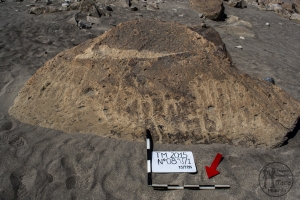 Piedra: 895, Cara decorada: I