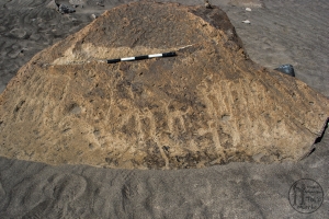 Piedra: 895, Cara decorada: I
