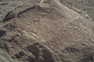 Piedra: 901, Cara decorada: III
