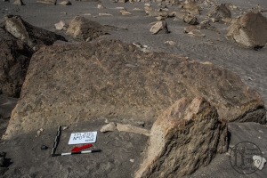 Piedra: 916, Cara decorada: I
