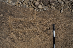 Piedra: 919, Cara decorada: II
