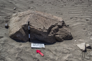 Piedra: 920, Cara decorada: I