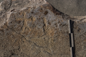 Piedra: 921, Cara decorada: I