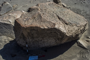 Piedra: 923, Cara decorada: I