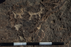 Piedra: 923, Cara decorada: I
