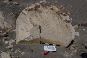 Piedra: 926, Cara decorada: I